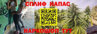 тгк Дубна