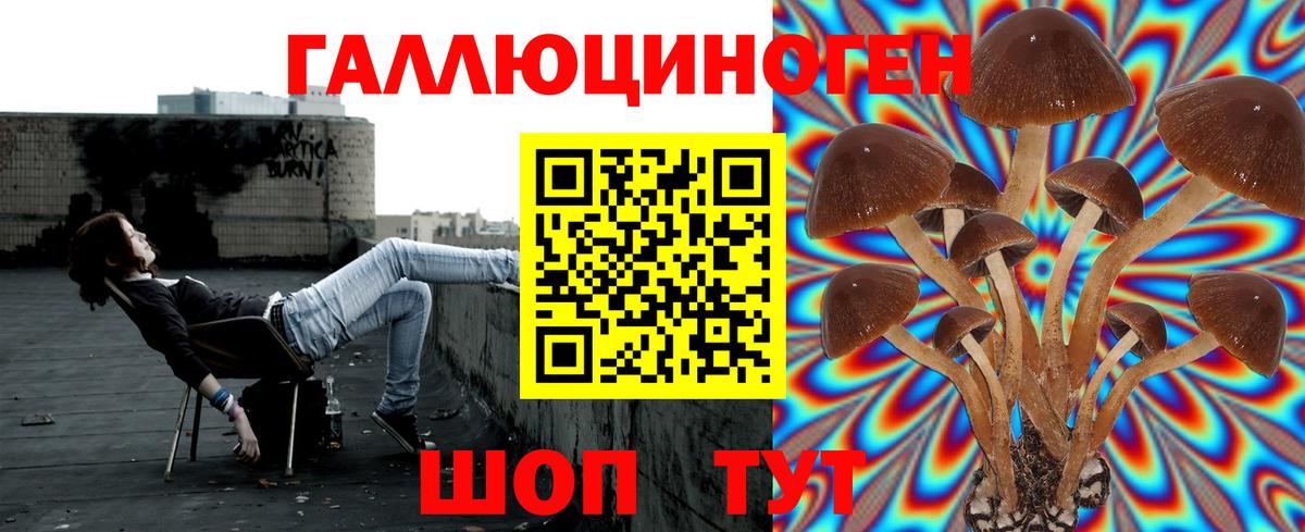 Псилоцибиновые грибы мухоморы Будённовск